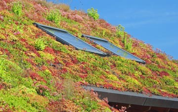 Pencoed living roof systems